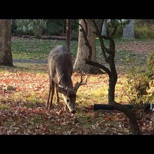 Meet your Posher, Kristy