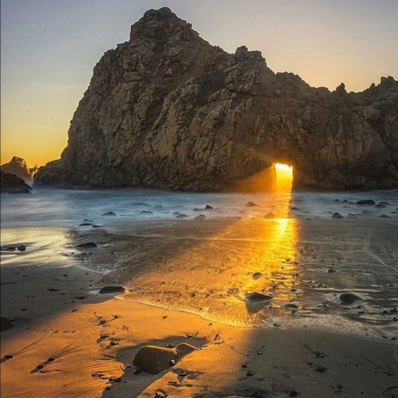 Meet your Posher, Rene - Picture 1 of 1