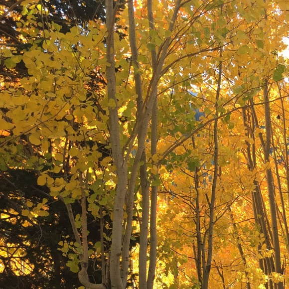 Meet your Posher, Kassidy