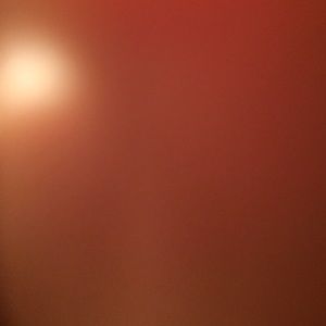 Meet your Posher, Chandler