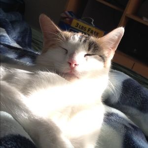 Meet your Posher, Dalila