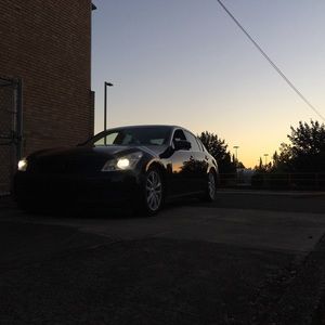 Meet your Posher, Slavik