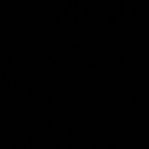 Meet your Posher, Bawi