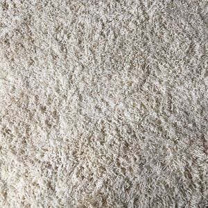 Meet your Posher, Shelby