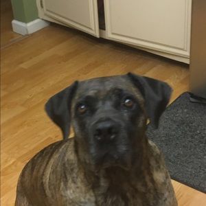 Meet your Posher, Riley