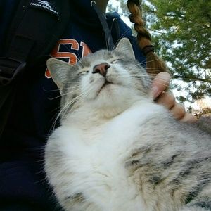 Meet your Posher, Lindsey