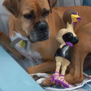 Meet your Posher, Rebecca