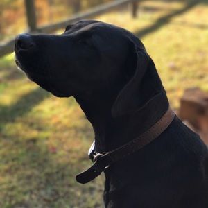 Meet your Posher, Seth