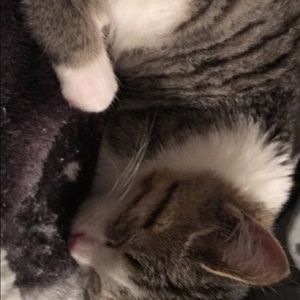 Meet your Posher, Khloe