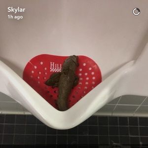 Meet your Posher, Kyle