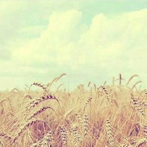 Meet your Posher, Janette