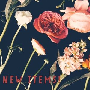 🌟 J.Crew 🌟 Madewell 🌟