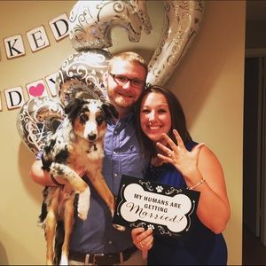 Meet your Posher, Ross