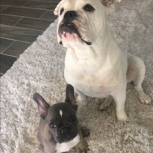 Meet your Posher, Erica