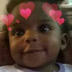 Meet your Posher, Inu