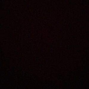 Meet your Posher, Cody