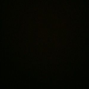 Meet your Posher, Leo