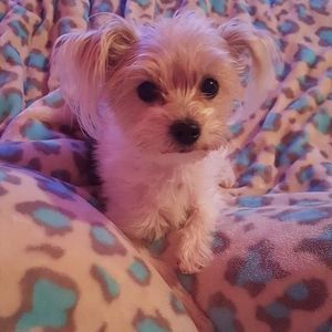 Meet your Posher, Kristina