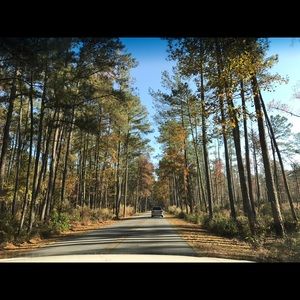 Meet your Posher, Meagan