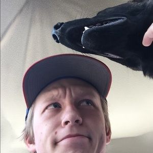 Meet your Posher, Reed