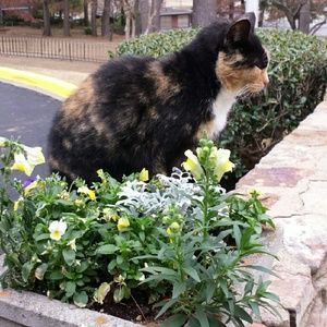 Meet your Posher, Juanita