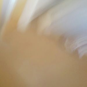 Meet your Posher, Baylee