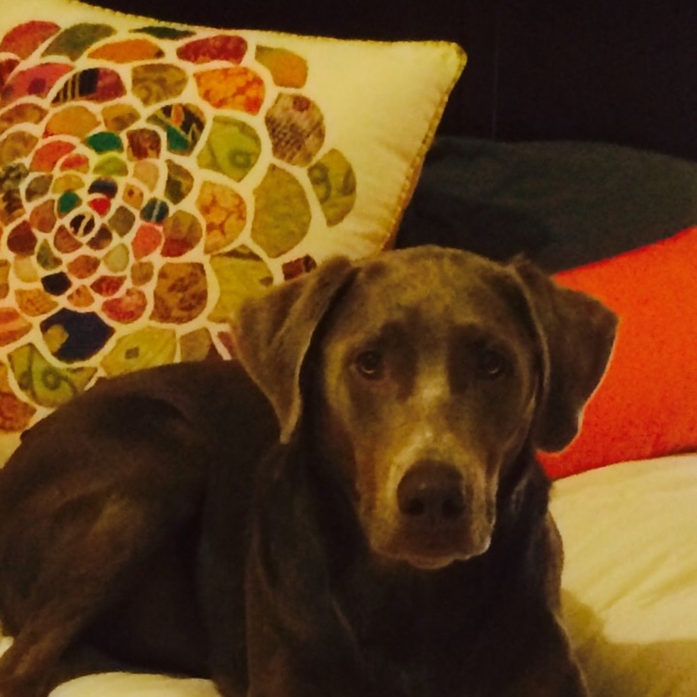 Meet your Posher, Liz