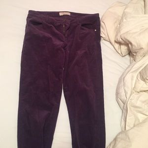 Micheal Kors purple courderoy pants