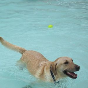 Meet your Posher, Ellyn