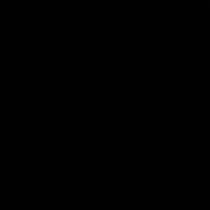 Meet your Posher, Korey