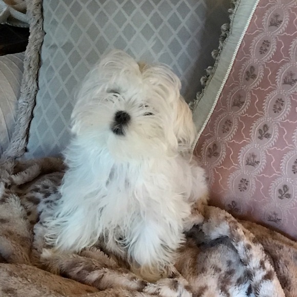 Meet your Posher, Deborah