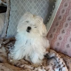 Meet your Posher, Deborah