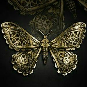 Meet your Posher, Bobbie