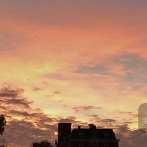 Meet your Posher, Darla