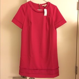 Gorgeous dress for work or play