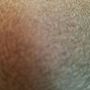 Meet your Posher, Harold