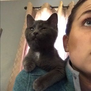 Meet your Posher, Abby