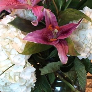 Meet your Posher, Noor