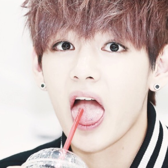 Meet your Posher, Delilah - Picture 3 of 4