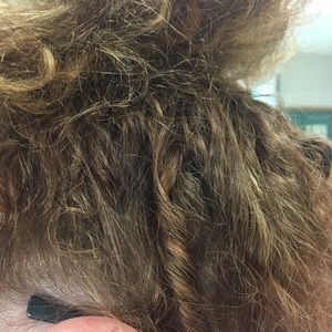 Meet your Posher, Molly