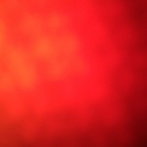 Meet your Posher, Kenzie