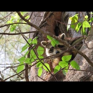 Meet your Posher, Carol