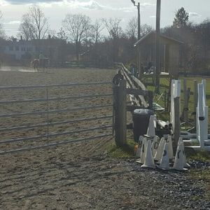 Meet your Posher, Edward