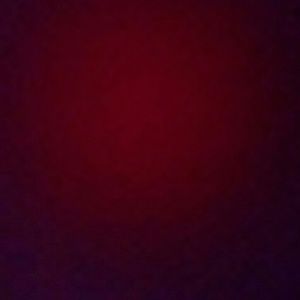 Meet your Posher, Bernadine