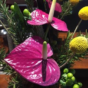 Meet your Posher, Roberta