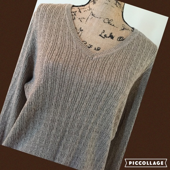 🐝New WOT "Karen Scott" Brown Sweater Size XL🐝