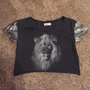 🦁🦁