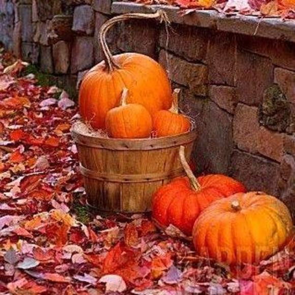 Meet your Posher, Lineth - Picture 1 of 1