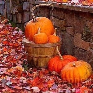 Meet your Posher, Lineth