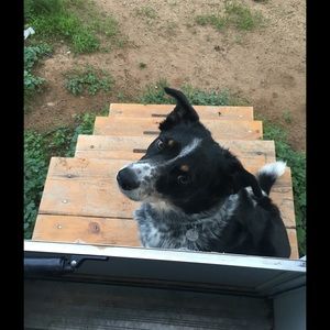 Meet your Posher, Holly